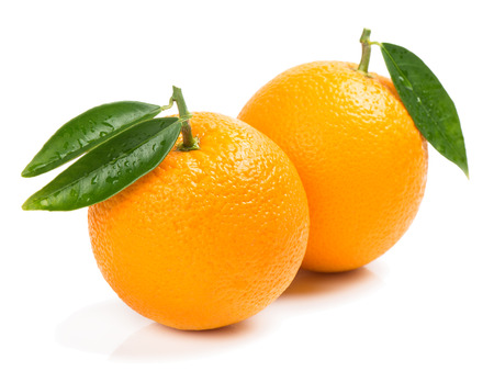 Two orange fruits with green leaves isolated on white background.の写真素材
