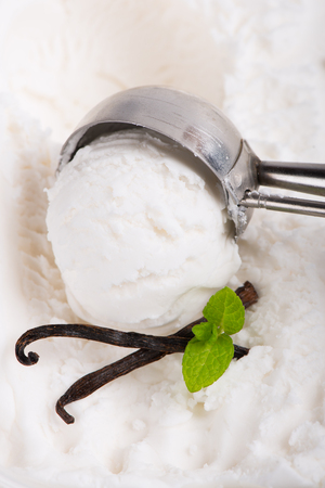 Vanilla ice cream scoop, scooped out of a container with a utensil, decorated with vanilla pods and mint.の写真素材