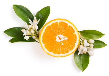 Top view of slice of orange fruit with leaves and blossom isolated on white background.の写真素材