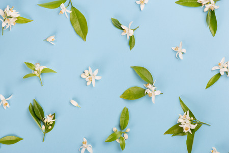Slices of orange fruit and blossom with leaves on a blue background, above view.
