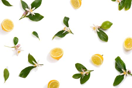 Halves of lemon fruit and blossom with leaves of lemon tree, top view, isolated on white background.の写真素材