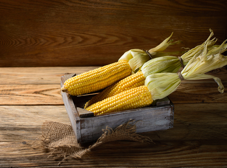Some corn cobs in the box on wooden background. Copy-space