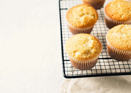 Homemade tasty miffins on white background, copy space, top viewの写真素材