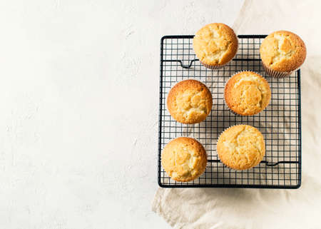 Homemade tasty miffins on white background, copy space, top viewの写真素材