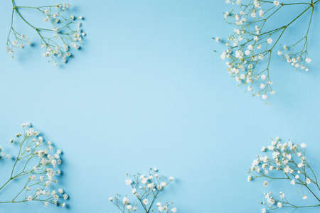 Blue fashion, flowers flat lay background for mothers day, birthday, easterの写真素材