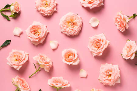 Rose flowers layout with petals and leaf pattern on pink background flat lay, top view