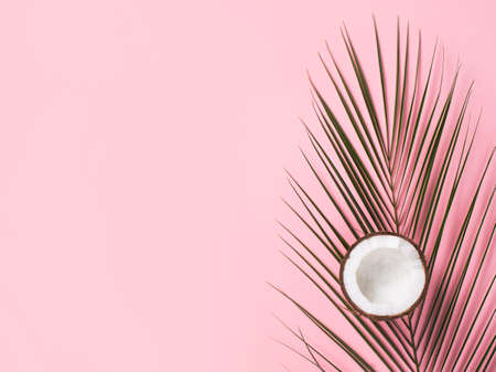 Tropical flat lay with palm leaves and coconut on pink backgroundの写真素材