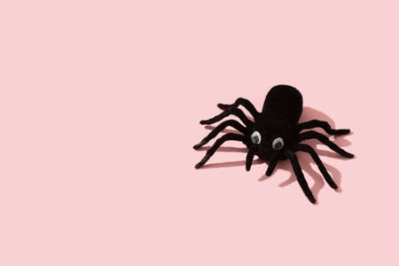 Single black toy spider on pink backgroundの写真素材