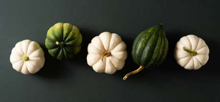 White pumpkins flat lay on brown backgroundの写真素材