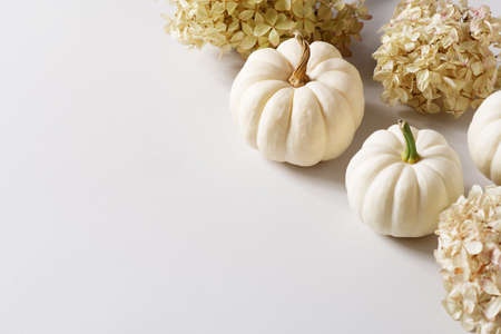 White pumpkins flat lay on brown backgroundの写真素材