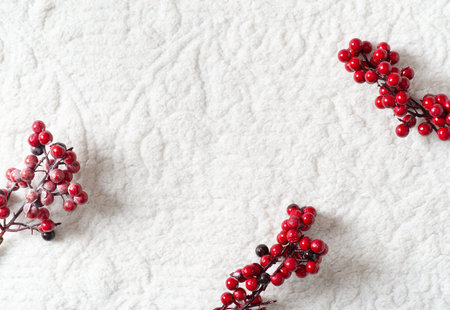 Christmas and happy new year card border with red berries branch on white textile material...