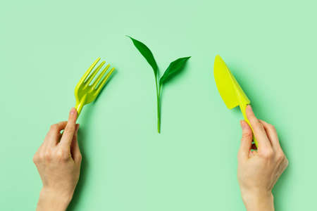 Growth and gardening creative concept with colors tools on green background,