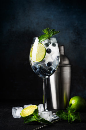 Alcohol cocktail with lime, blueberry, ice cube and mint on dark background, bartender day, copy space, verticalの写真素材