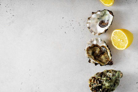 Oyster ith shell, lemon close up on white background, copy space, top view, verticalの写真素材