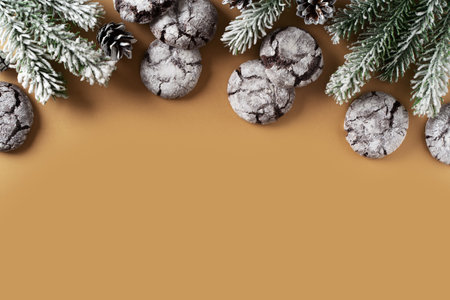 Chocolate cookies with crack on white backgroundの写真素材