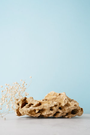Beaity cosmetology nature concept with empty stone podium stand on blue background mock up, vertical