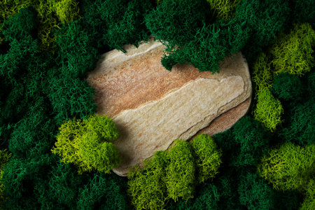 Cosmetic mock up with stone and moss, beauty concept flat lay, top viewの写真素材