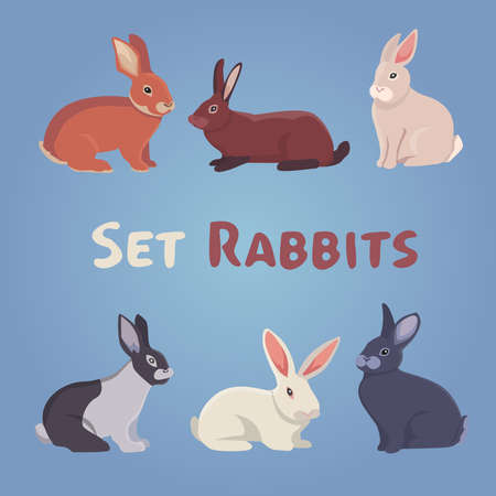 vector illustration of cartoon rabbits, eps 10のイラスト素材