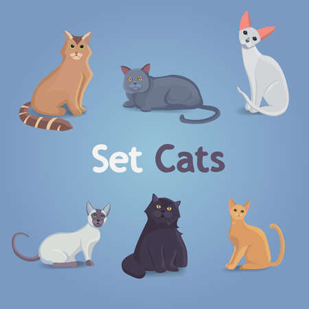 Collection of Cats and Dogs of Different Breeds. Vector Illustration Set.のイラスト素材