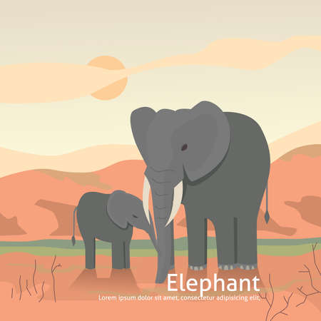 elephant mother and calf cartoon illustration. africa illustration.のイラスト素材