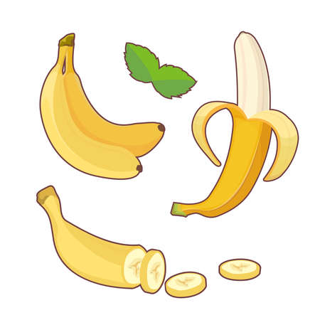 Fresh banana fruits, collection of vector illustrations. Set banana.Peeled and sliced bananas. Cartoon banana.のイラスト素材
