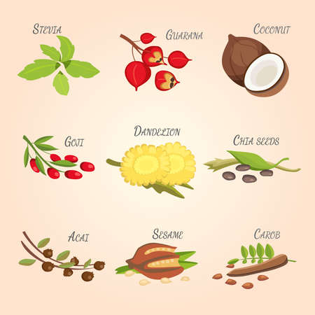 Set of Vector cartoon superfoods. Fresh fruits sketch background. Vector illustration for your design.のイラスト素材