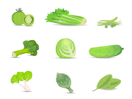 Set of green vegetablesのイラスト素材
