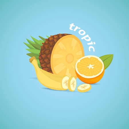 tropical sliced fruits isolated vector illustrationのイラスト素材