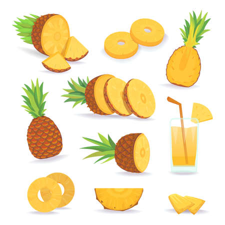 Set of pineapple slices isolated on white background.のイラスト素材