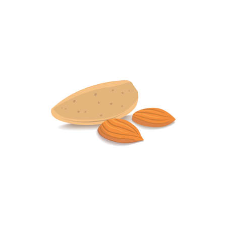 almond nut vector illustration eps10のイラスト素材