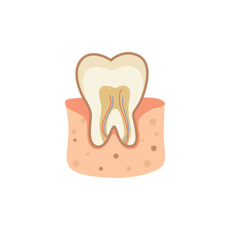 tooth cartoon vector illustration eps10のイラスト素材