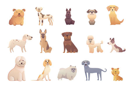 Collection dogs of Different Breeds. Vector isolated dogs on whiteのイラスト素材