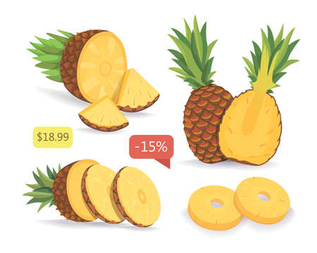 Sliced pineapple isolated vector collectionのイラスト素材