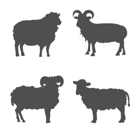 Vector set Cute Sheep and Ram isolated retro illustration. Standing Sheeps silhouette on white. Farm fanny milk young animalsのイラスト素材