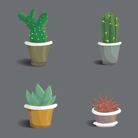 Collection of abstract cactuses in flower pot. Home vector cactusのイラスト素材