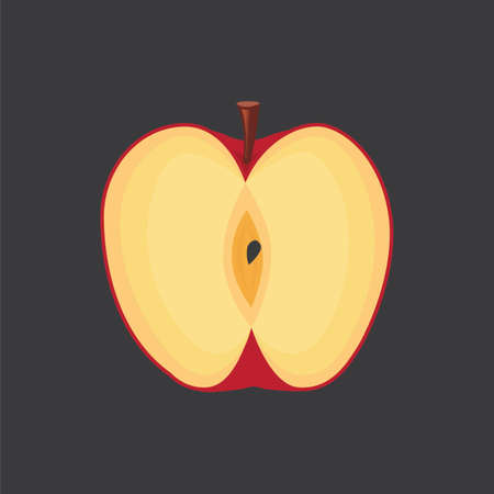 Red apple: bitten, slices, half, whole fruit. Vector flat cooking illustration.のイラスト素材