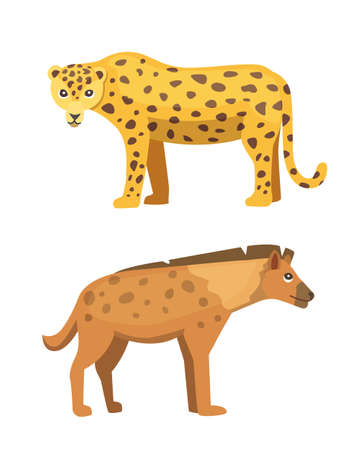 Cute jaguar and hyena stands vector illustration. African animals isolatedのイラスト素材
