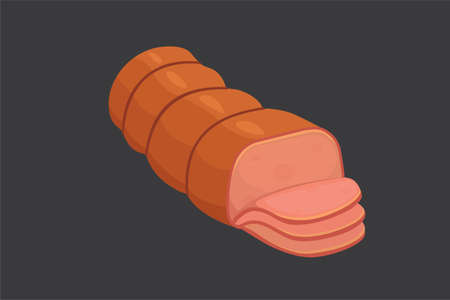 vector cartoon sausage. Isolated fresh Delicatessen icons. meat pork on dark background isolatedのイラスト素材