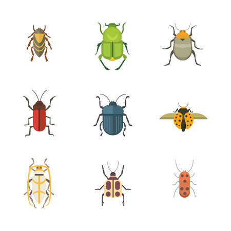 Set of insects flat style vector design icons. Collection  nature beetle and zoology cartoon illustrationのイラスト素材