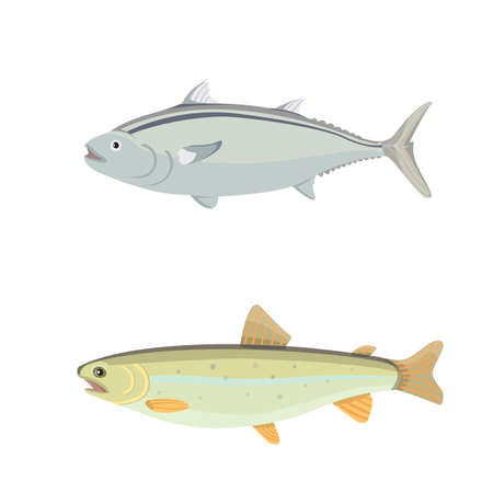 Isolated river fish. Set of freshwater sea cartoon fishes. Fauna ocean vector illustrationのイラスト素材