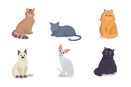 Collection Cats of Different Breeds. Vector isolated cat on white background. Home animal or pets. Fanny kittens facesのイラスト素材