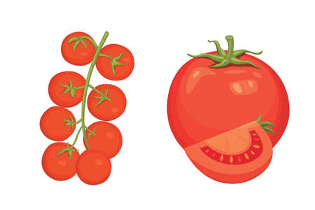 Collection of fresh red tomatoes and soup vector illustrations. Half, slice, cherry tomato.のイラスト素材