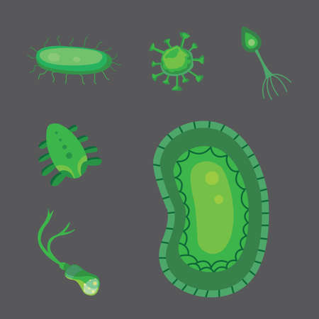 vector set bacteria and virus flat illustrationの写真素材