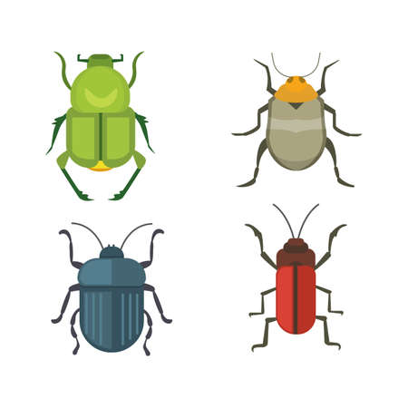 Set of insects flat style vector design icons. Collection nature beetle and zoology cartoon illustration. Bug icon wildlife conceptの写真素材
