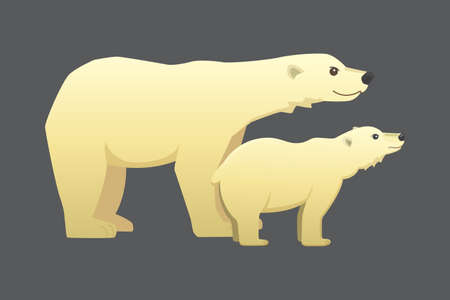 Polar white bear vector cartoon arctic animal.の写真素材