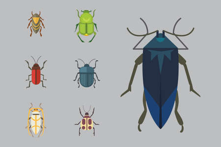 Set of insects flat style design icons.のイラスト素材