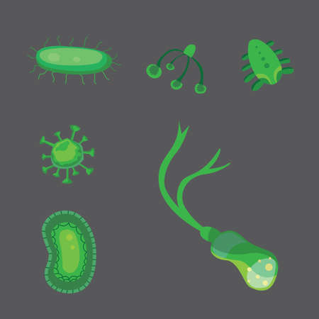 vector set bacteria and virus flat illustrationのイラスト素材