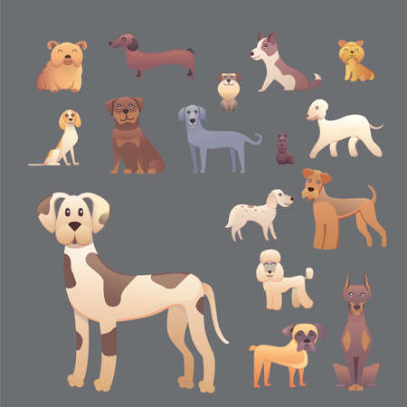 Group of purebred dogs. Illustration for dog training courses, breed club landing page and corporate...