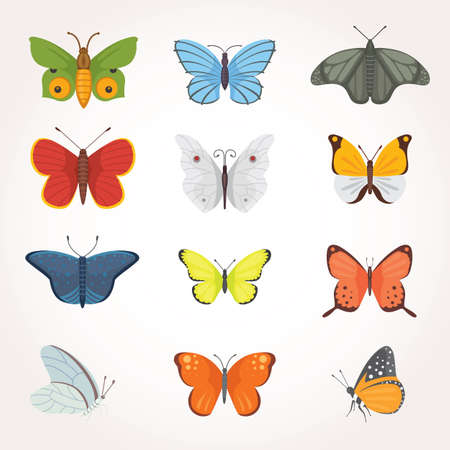 Printset of colorful Butterfly Vector Design Illustration. summer insectのイラスト素材