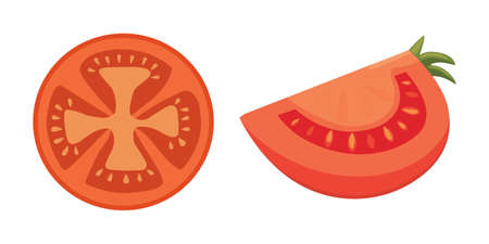 Collection of fresh red tomatoes and soup vector illustrations. Half, slice, cherry tomato.のイラスト素材